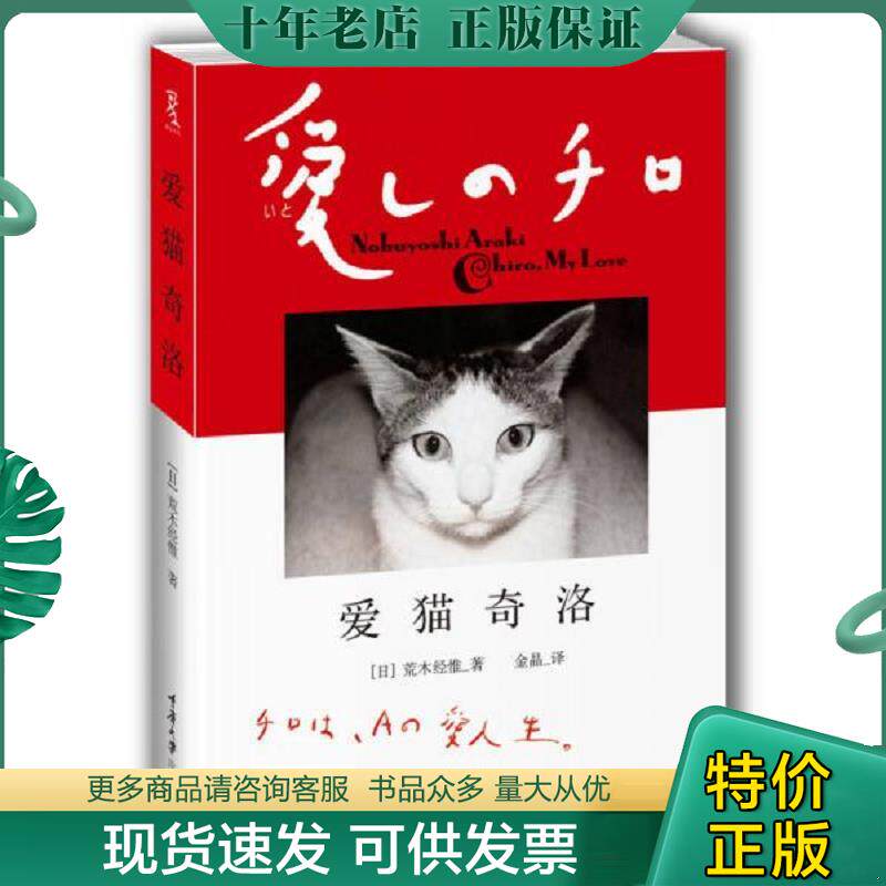 正版现货9787562473442 爱猫奇洛 (日)荒木经惟 重庆大学出版社