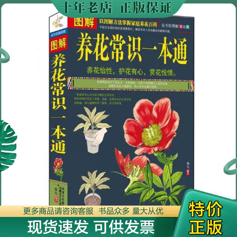 正版现货9787552102826 图解养花常识一本通全方位图解美绘版 杨凡 内蒙古文化出版社