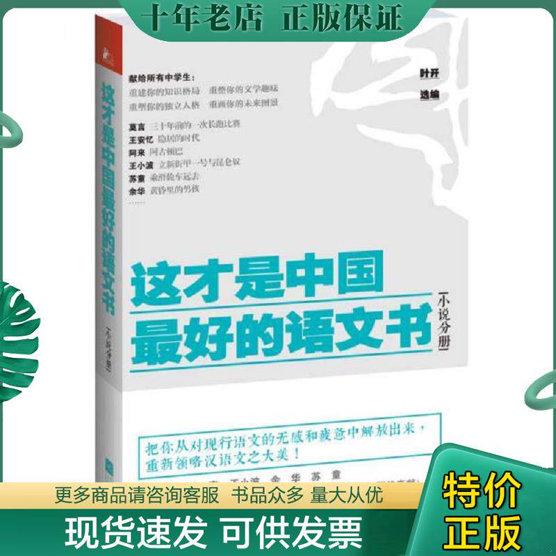 正版现货9787539962900 这才是中国最好的语文书 小说分册 叶开 江苏文艺出版社