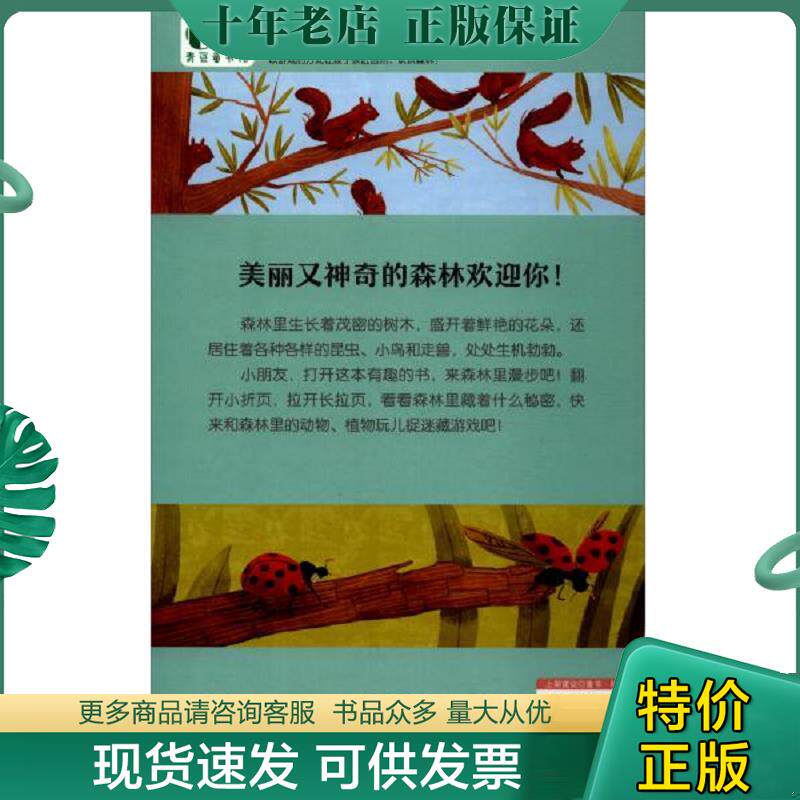正版现货9787531098669 森林的秘密 [英]莉比沃尔登著,[美]斯蒂芬妮费泽尔科尔曼绘,丘道明译青豆书坊出品 河北美术出版社 - 实物图