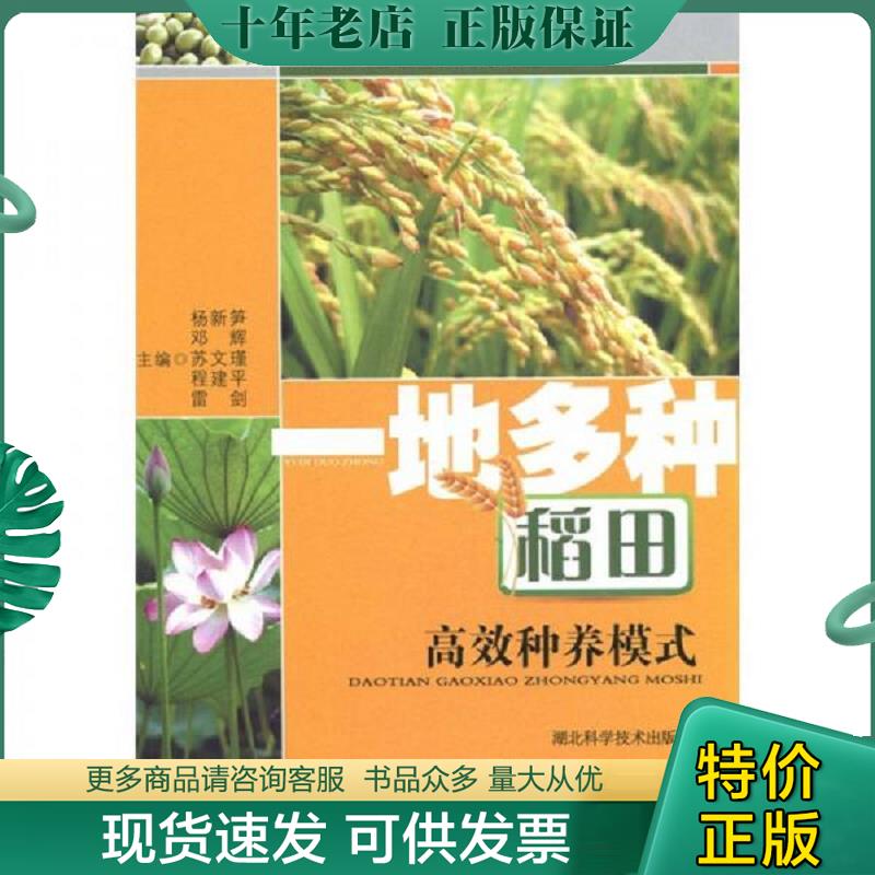正版现货9787535247803 一地多种稻田高效种植模式 杨新笋　等主编 湖北科学技术出版社