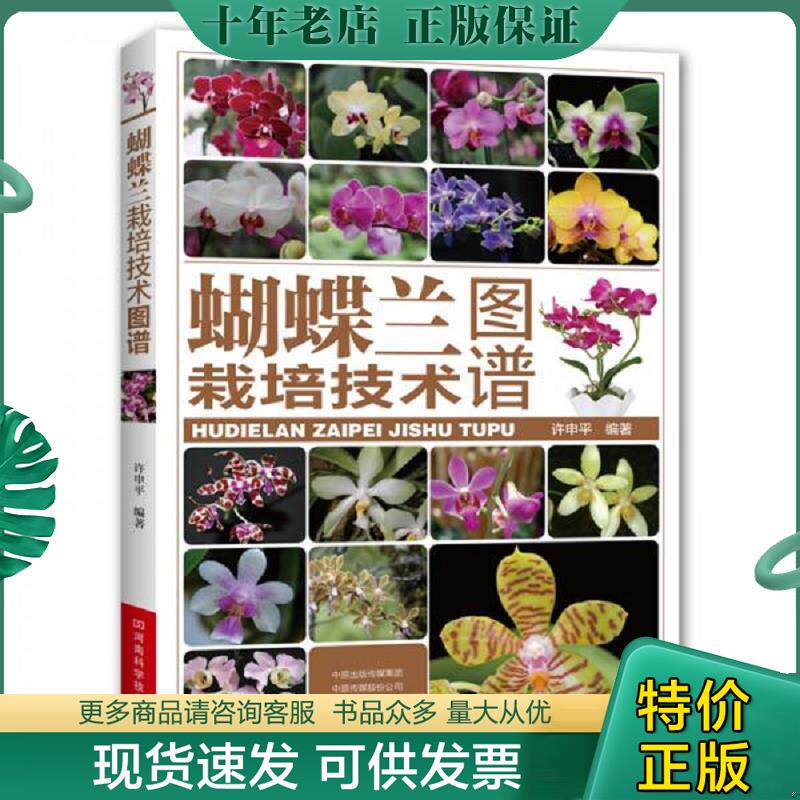 正版现货9787534994685 正版新书 蝴蝶兰栽培技术图谱 河南科学技术出版社 9787534994685 许申平 河南科学技术