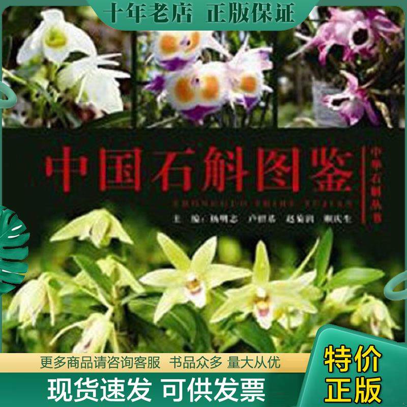 正版现货9787536482456 中国石斛图鉴 杨明志著 四川科技出版社