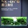 Индивидуальный заказ Jinjing super white fish tank стеклянная гостиная небольшой аквариум настольный аквариум с золотыми рыбками водный аквариум черепаший аквариум mini 0