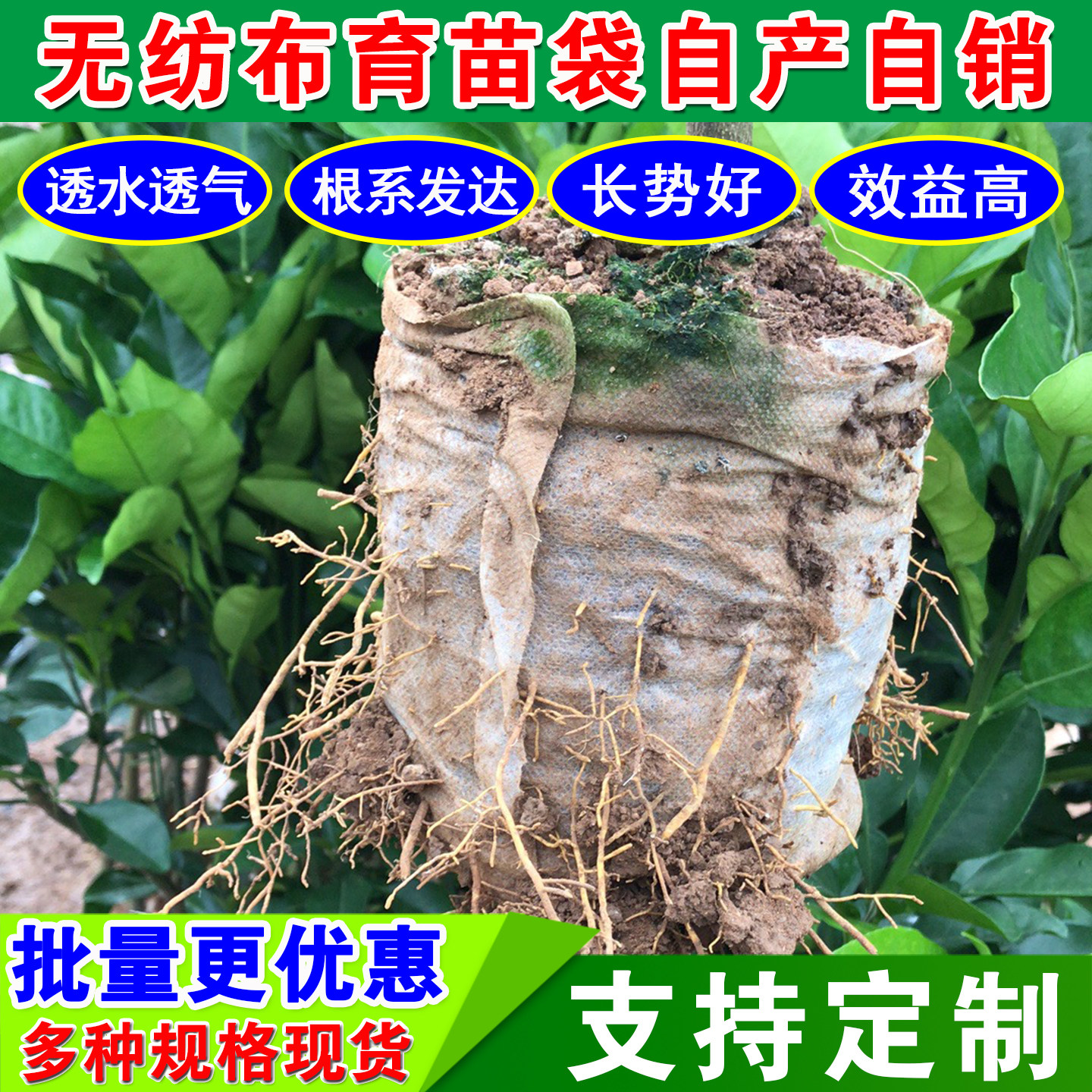 白色无纺布育苗袋营养钵热卖园艺加厚苗圃美植袋树苗容器杯可降解,鲜花速递/花卉仿真/绿植园艺,育苗盘/营养钵,淘宝优惠券,粉丝福利购,淘宝优惠卷