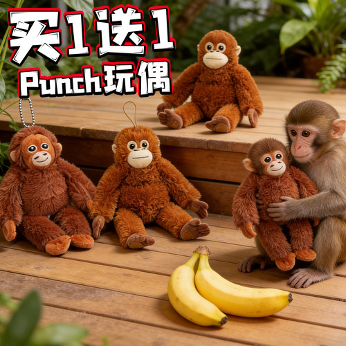 Punch小猴子毛绒公仔潘奇玩偶孤独马喽可爱猩猩挂件周边生日礼物3