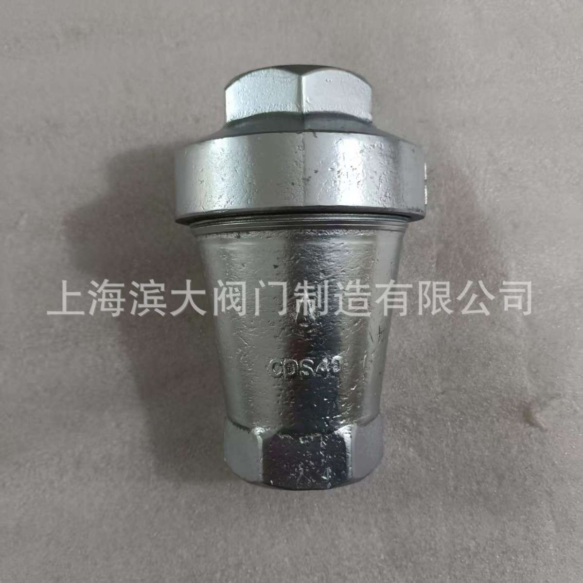 滨大阀门不锈钢输灰逆止阀 ZNF丝扣专用止回阀逆止阀