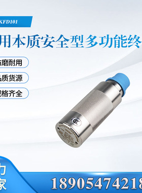 天津华宁电子KFD101矿用本质安全型终端集控小终端保护组件