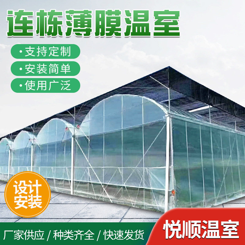 薄膜连动温室大棚大棚工程大棚骨架养殖棚大棚建造简易大棚配件
