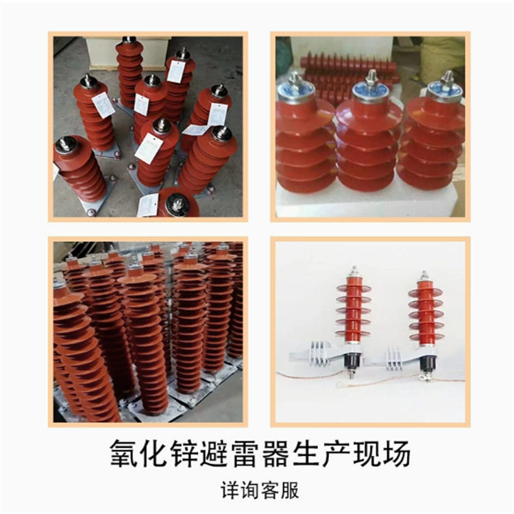 批发路灯防雷器户外照明系统浪涌保护器 并联带指示灯避雷器