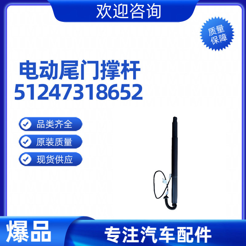 宝马X6F16电动尾门支撑杆