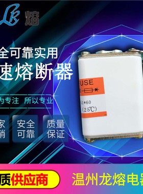 快速熔断器 RS4 800V 280A P101NK  BC100KA 51*60 熔断器