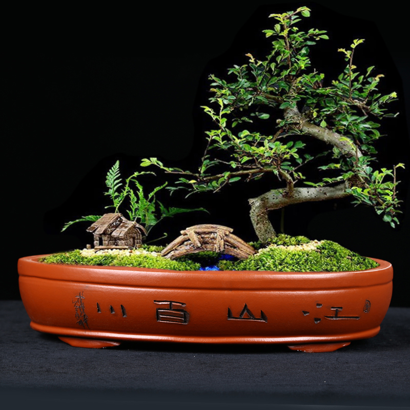 陶土花盆a长方形盆景盆大号客厅创意直经60厘米假山植物紫砂陶瓷