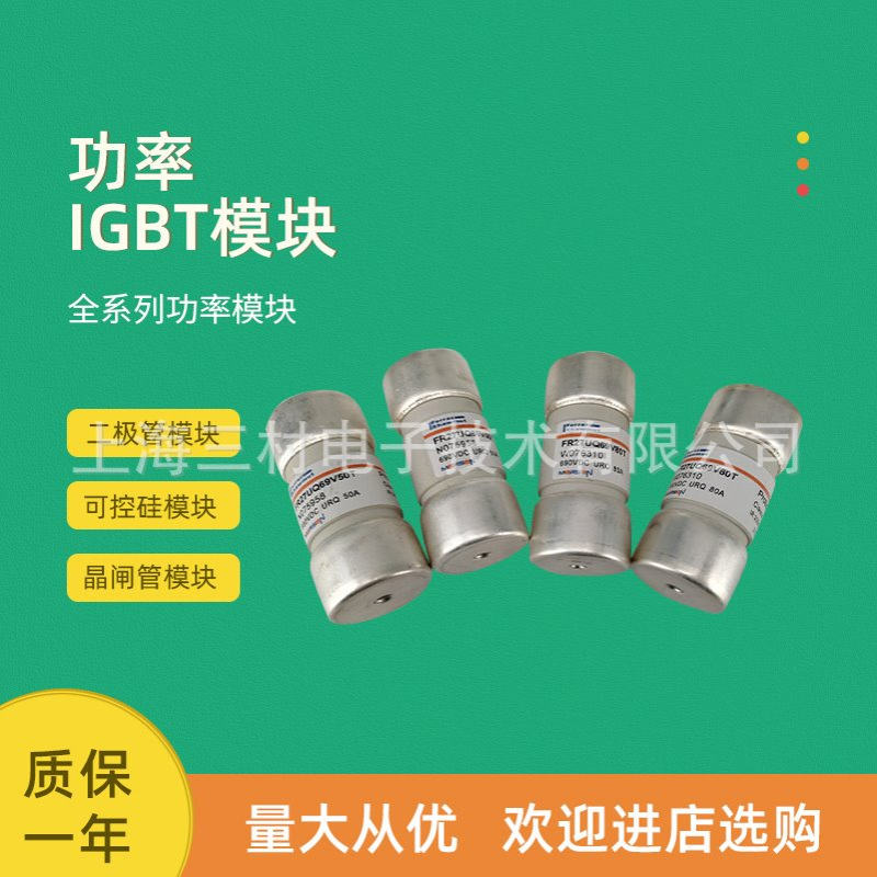 全新熔断器保险丝FR22GR69V50/C1018557 FR22GR69V80/E1018559