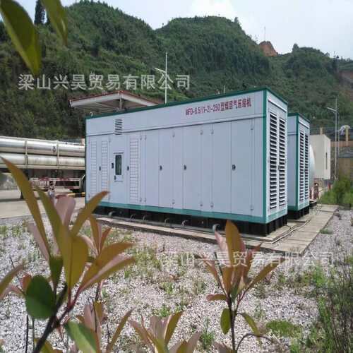 CNG加气站压缩机  范围广泛 维修保养  12立方站用高压储气瓶组