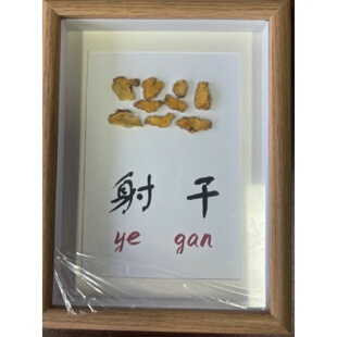 养生展示柜装饰中医馆装饰画中医照片墙中医馆氛围摆件玻璃衣柜黍