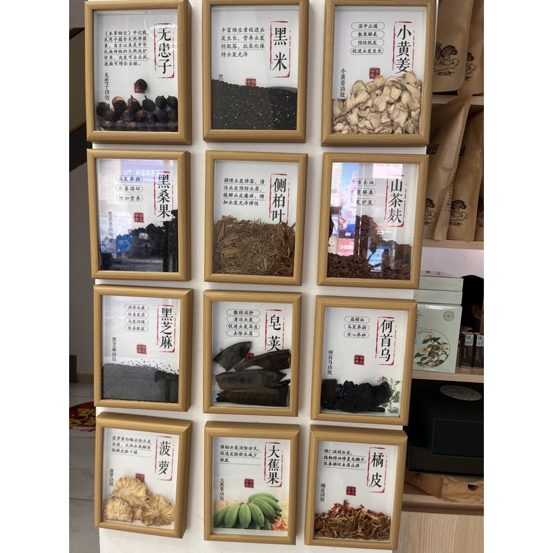 标本中医软装中药成品中草药材中医展示框装饰摆件标本框装饰画