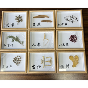 中药标本展示墙标本背景墙胡桃木墙面装饰药装饰装饰板木板隔板花