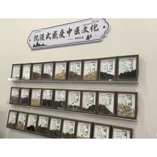 中医小博士拍照打卡中医照片墙组合相框饮品中药展示盘树胶水乡软