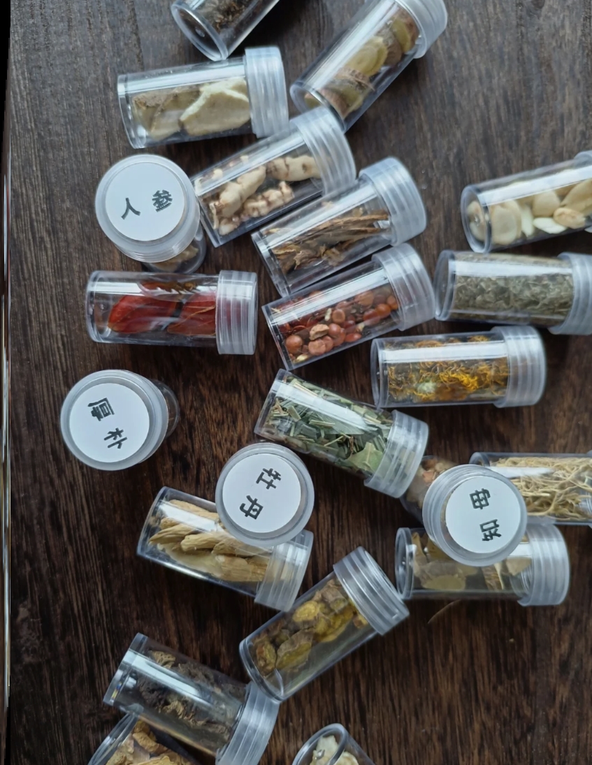 盒装中药材标本展示药学习展示盒