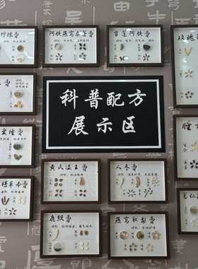 植物浸染标本木质中药样品展示中药展示药房木制倪师医馆展馆中医