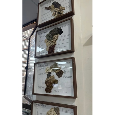 中药地图装饰画画挂画医院中医文化理疗馆药房手工标本药膳广告