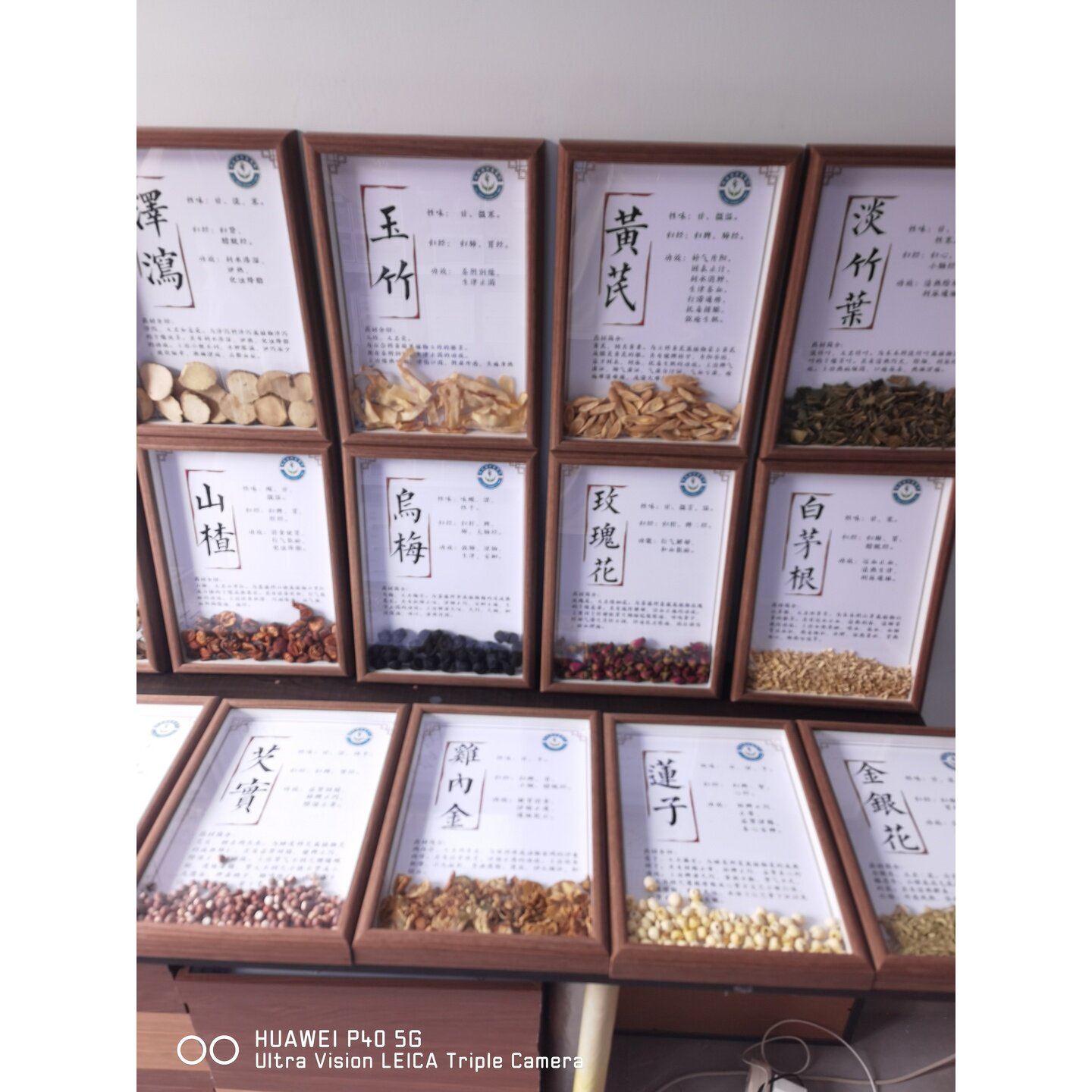 食育教育挂件针灸调教中药分类中医药器具摆件病房墙上中医小摆件