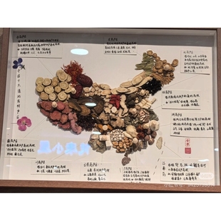 地图中药标本文化墙药食同源壁纸浙八味类的小礼物中医特色