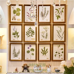 中医药植物标本定制墙面滋补品店装饰画中医特色小礼品中药挂饰1