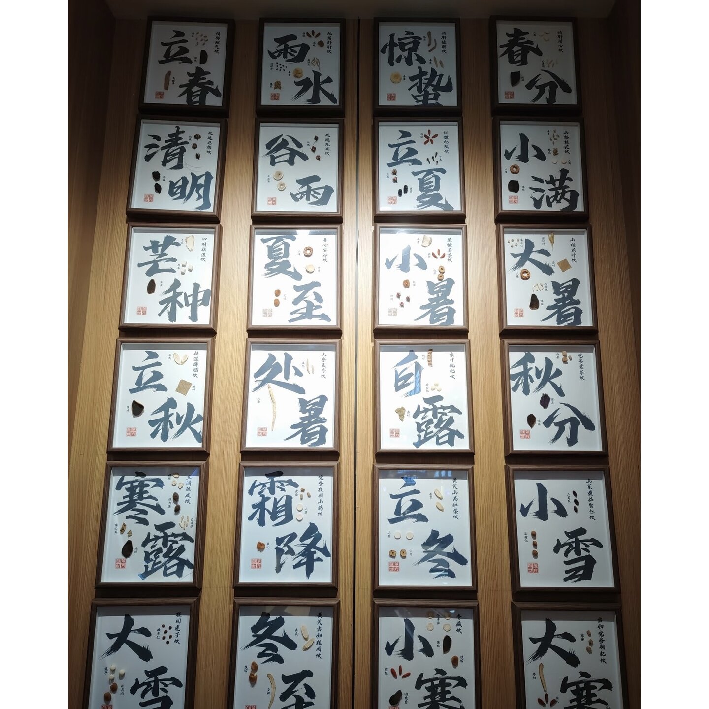 24节气中医中医食材展示墙中草药成分照片墙中药场景布置中药板