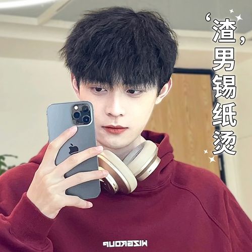 速发假发男生短发锡纸全蓬松懒慵男士黑色日常人发烫头套