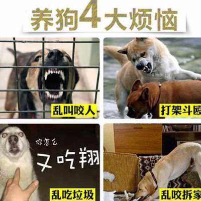 速发iroducts ati-bkig dog muzzle afpuppy dog butP ul