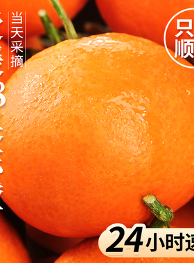 四川爱媛38号果冻橙10斤大果当季新鲜水果整箱甜橙官方旗舰店橙子
