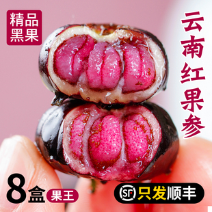 包邮 盒整箱顺丰 现摘算盘果 蜘蛛果125g 云南红果参新鲜水果应当季