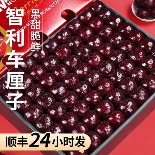 顺丰包邮丨脆甜爽口丨智利车厘子