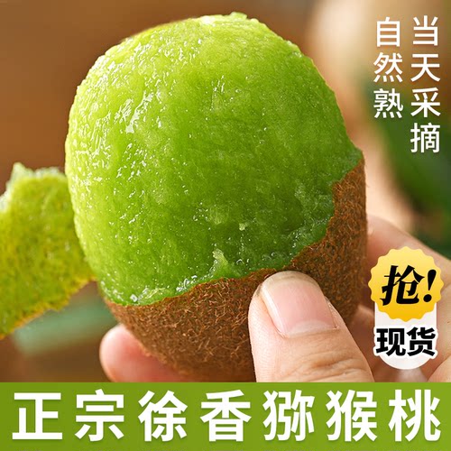 新品上市，头茬鲜果，正宗徐香