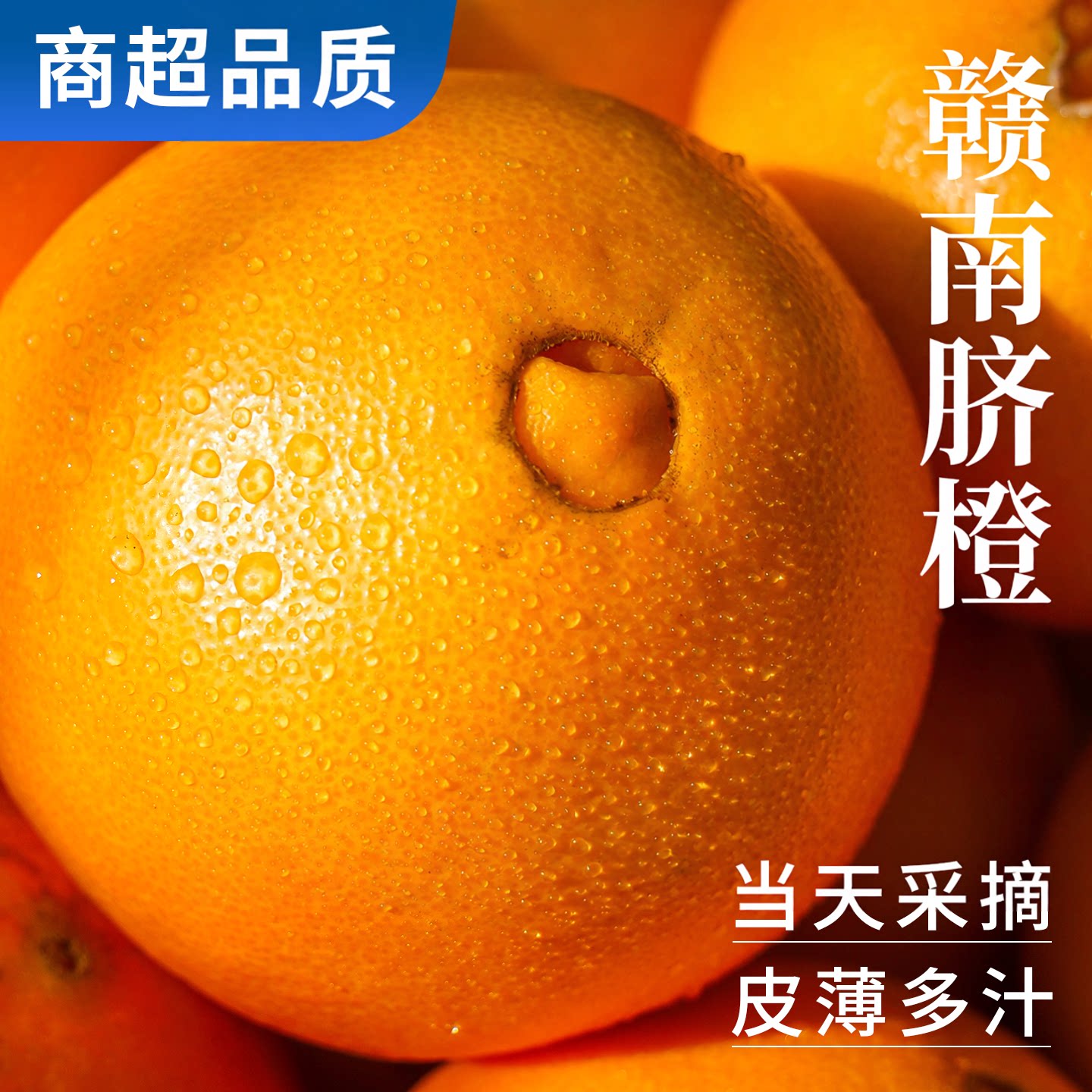 顺丰可选丨产地直发丨赣南脐橙