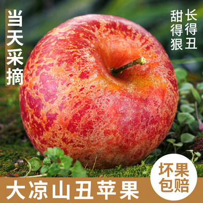 产地直发丨假一罚十丨大凉山苹果