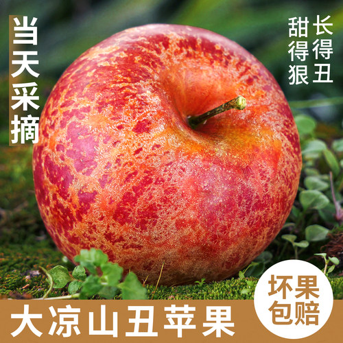 产地直发丨假一罚十丨大凉山苹果