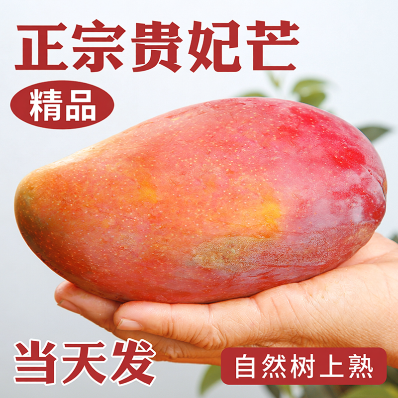 正宗贵妃芒新鲜水果当季10树上熟红金龙辣椒甜心芒大果整箱包邮