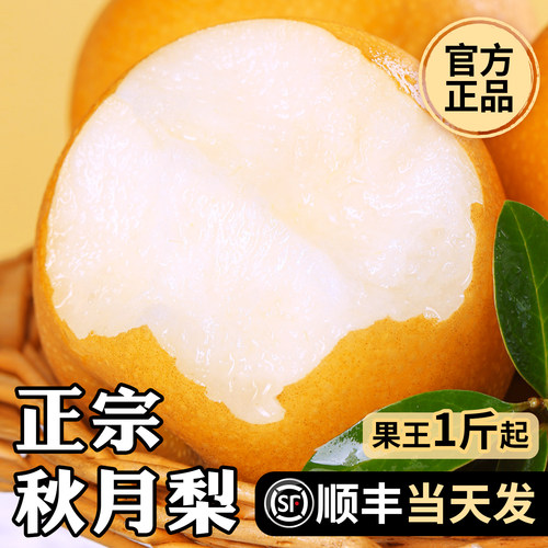 顺丰严选正宗秋月梨头茬