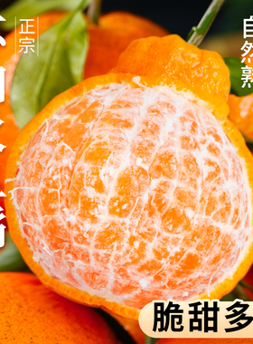 正宗四川不知火丑橘水果应当季新鲜整箱橘子柑橘耙耙蜜桔子丑八怪