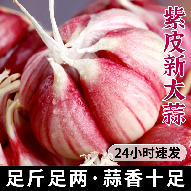 探歌紫皮大蒜云南当季新蒜5斤整箱农家干蒜厨房调料券后5.8元