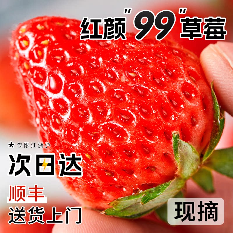当天采摘丨不打药自然熟丨99草莓