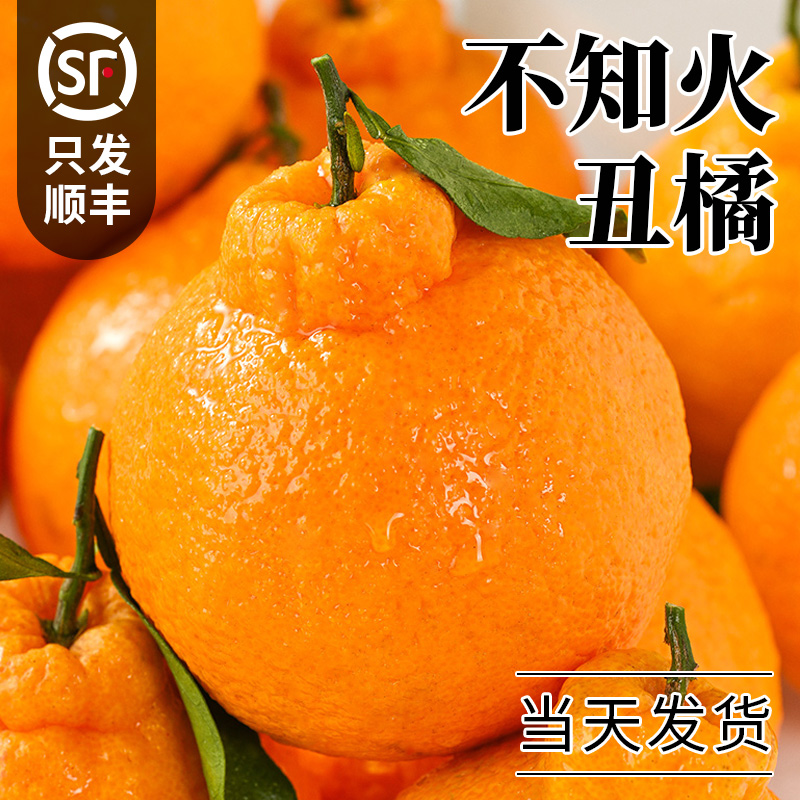 顺丰包邮丨当天采摘丨正宗丑橘