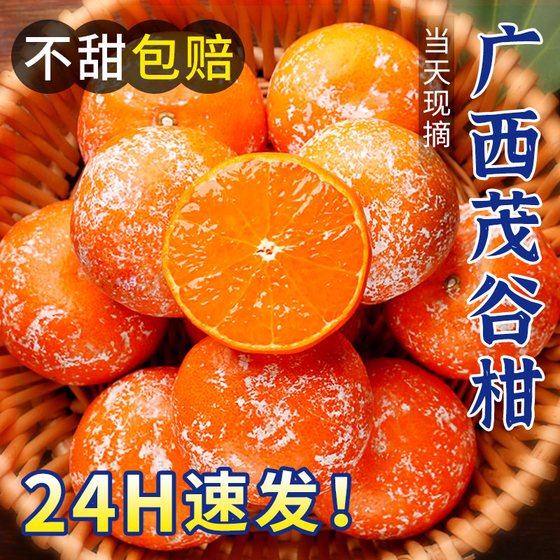 广西武鸣茂谷柑脏脏柑10斤新鲜水果应当季整箱沃柑橘子石灰桔子