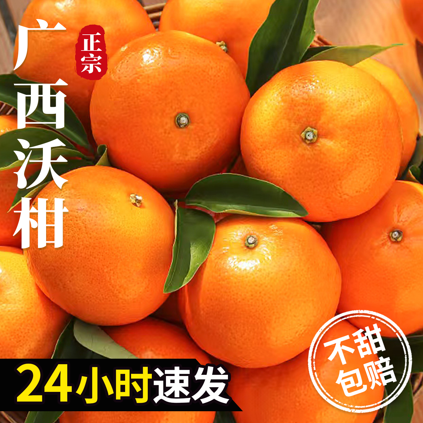 当天采摘丨武鸣直发丨广西沃柑