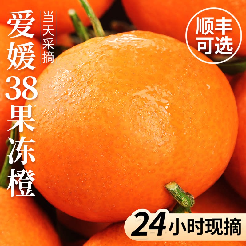 自然熟丨当天采摘丨爱媛果冻橙