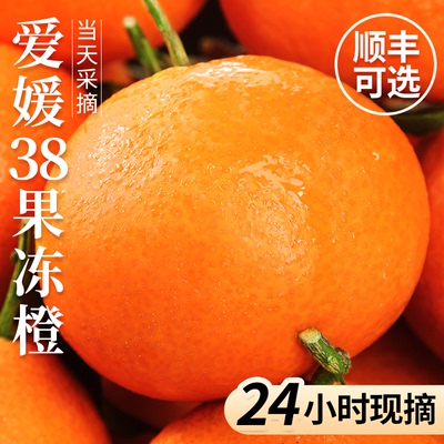 自然熟丨当天采摘丨爱媛果冻橙