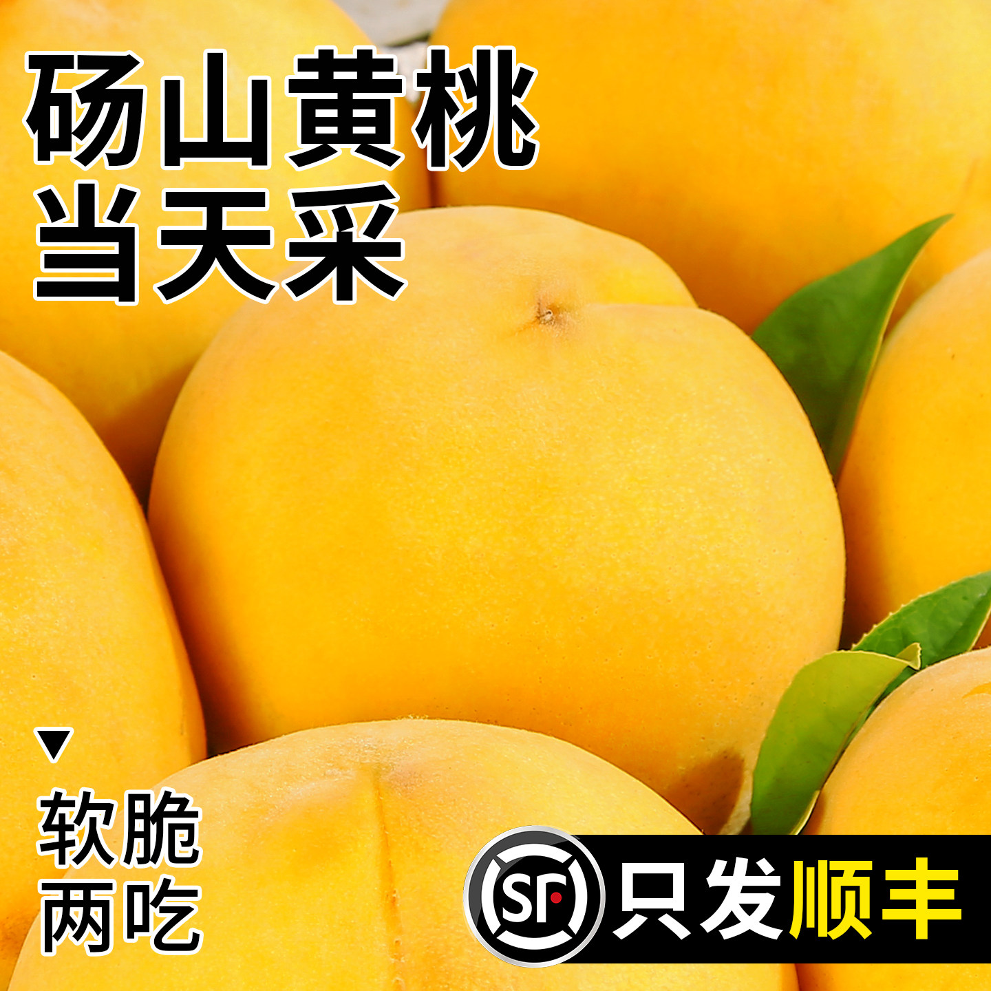 顺丰砀山黄桃新鲜水果9斤当季毛桃子整箱黄肉脆甜油蜜桃大果包邮